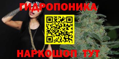 прущие крисы Уссурийск